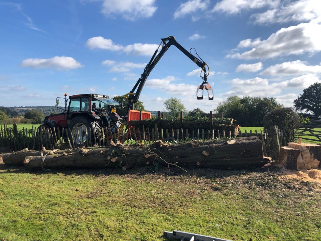 J V Tree Services using professional logging equipment for tree removal in Crowborough, East Sussex. Expert tree surgeons handling large-scale tree cutting and land clearing.