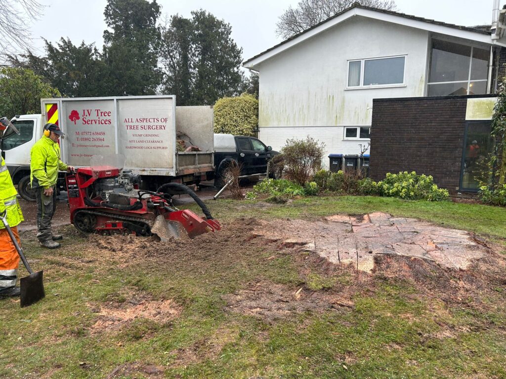 J V Tree Services, a professional tree surgeon in Crowborough, East Sussex, performing expert stump grinding and removal with specialized machinery.