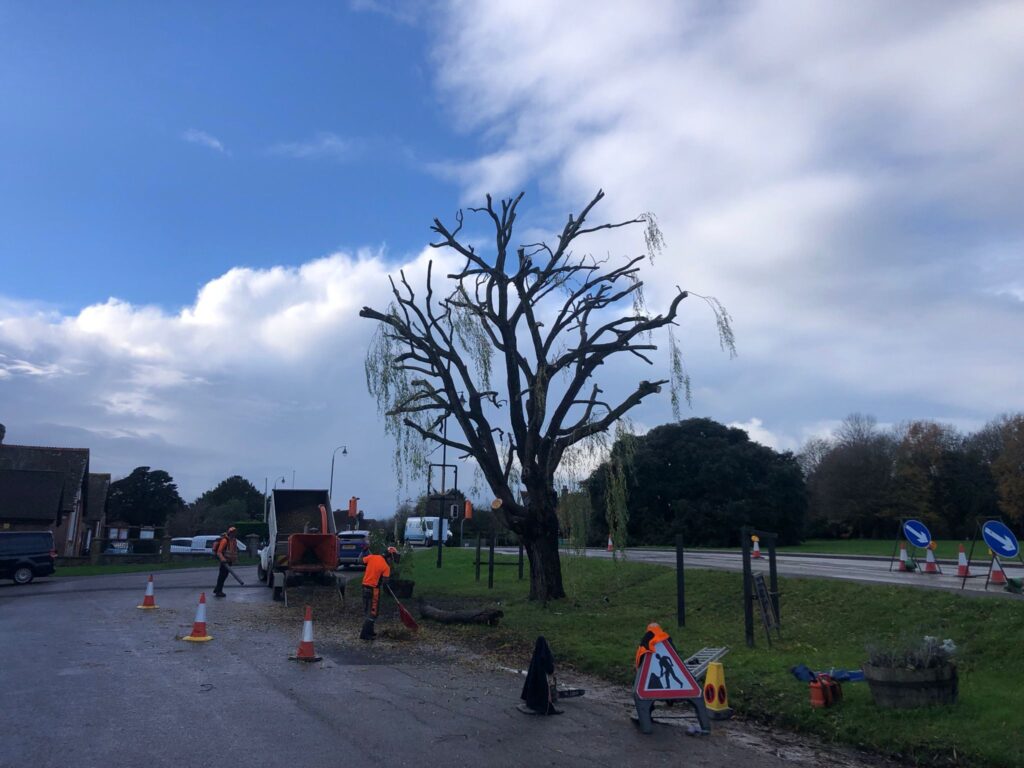 J V Tree Services, a professional tree surgeon in Crowborough, East Sussex, performing expert tree pruning and maintenance on a roadside tree using specialist equipment and safety precautions.