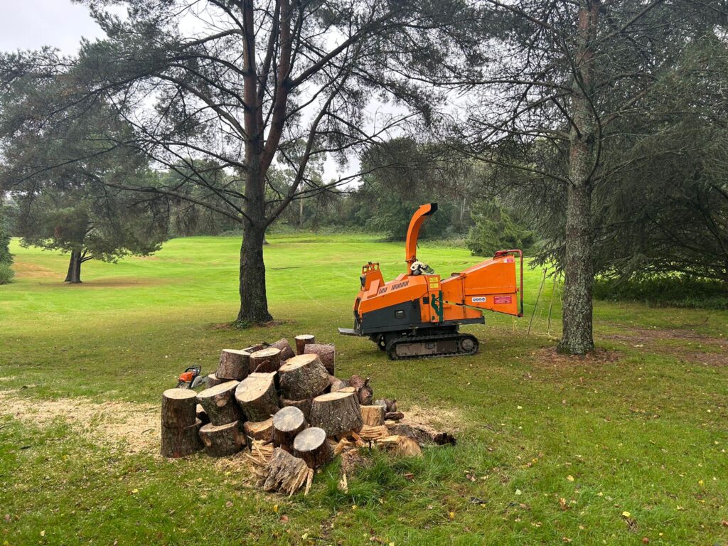 J V Tree Services, a professional tree surgeon in Crowborough, East Sussex, using a wood chipper for efficient tree removal and site clearance.