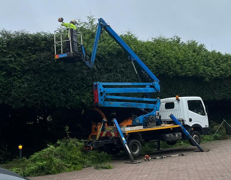 J V Tree Services performing professional hedge trimming using a cherry picker in Crowborough, East Sussex. Expert tree surgeons providing high-quality tree services.