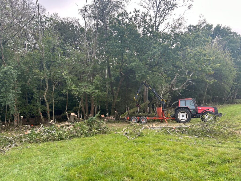 J V Tree Services performing professional tree removal using a tractor and logging equipment in Crowborough, East Sussex. Expert tree surgeons handling forestry and land clearing.