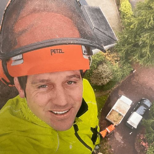 Steve Cannings, specialist climber at JV Tree Services Ltd, performing expert tree surgery in Crowborough, East Sussex.